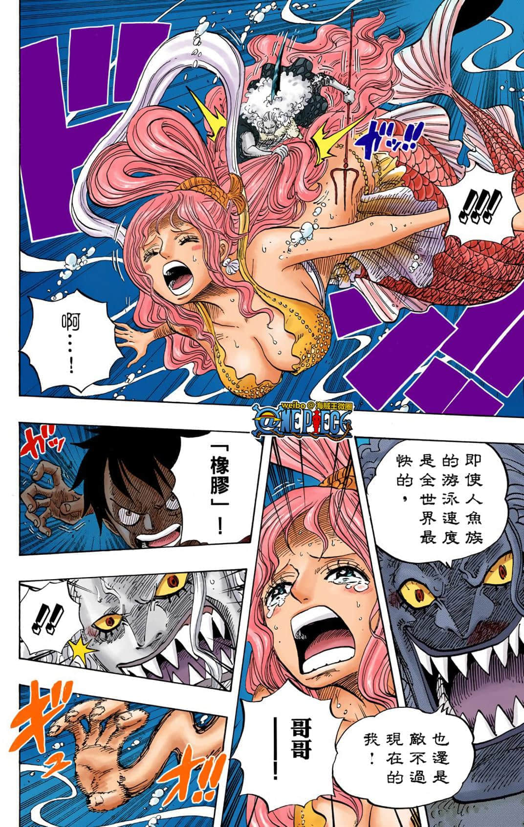 65_海贼王全彩【1-99卷全是中文】【ワンピース／ONE PIECE／航海王】_ 