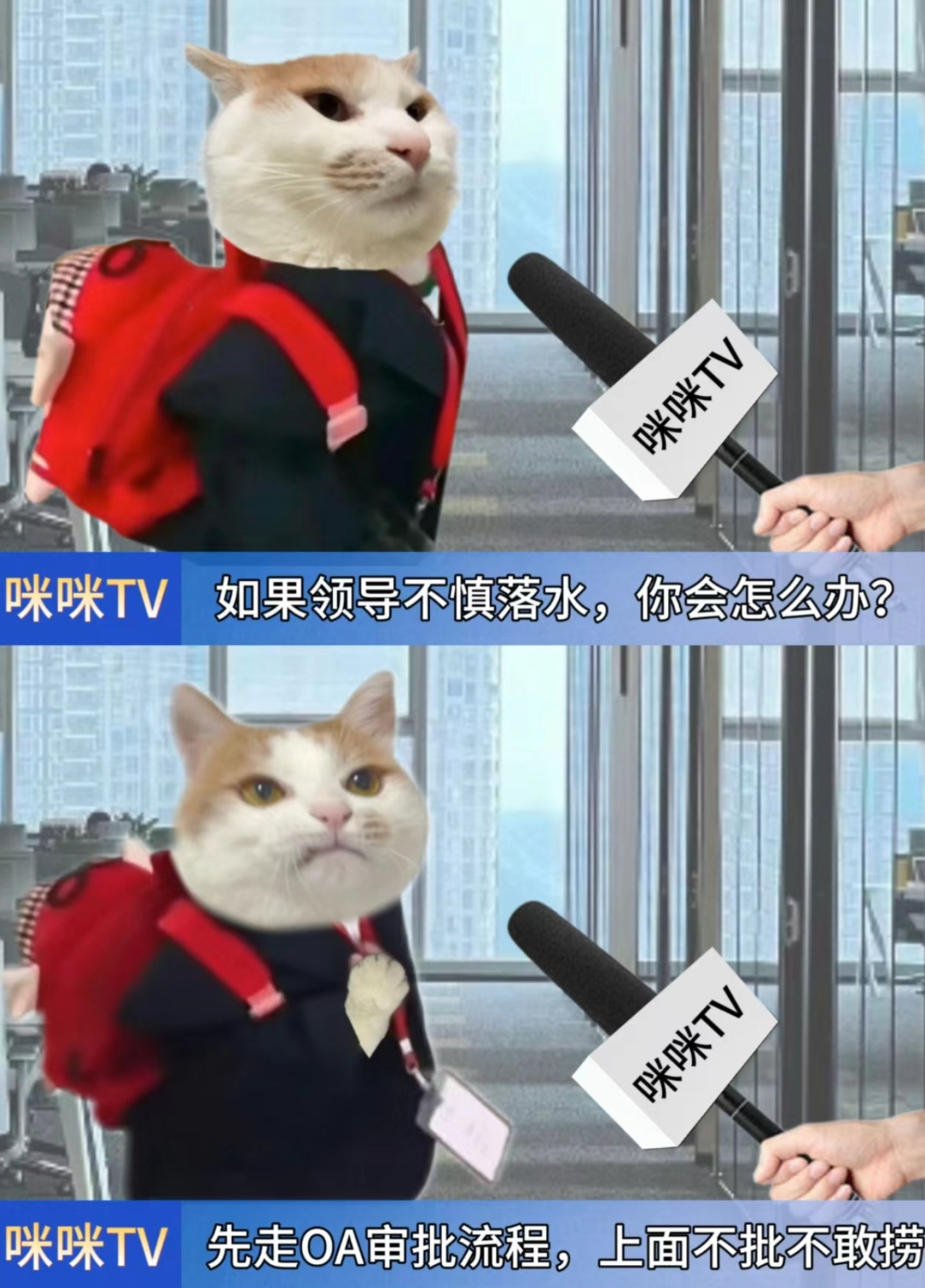 当领导落水后