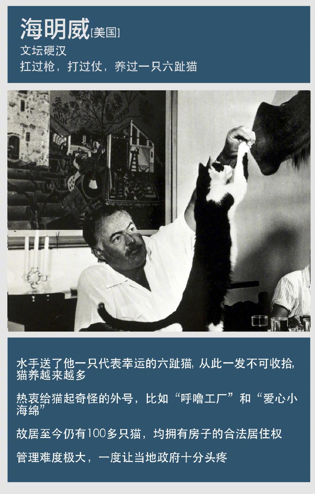 自古文人多猫奴，古今中外有哪些爱猫如命的大作家？