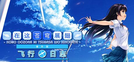 《在这苍穹展翅：飞行日志 If My Heart Had Wings -Flight Diary-》中文版百度云迅雷下载