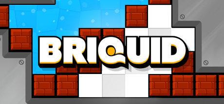 《模拟方块 Briquid》中文版