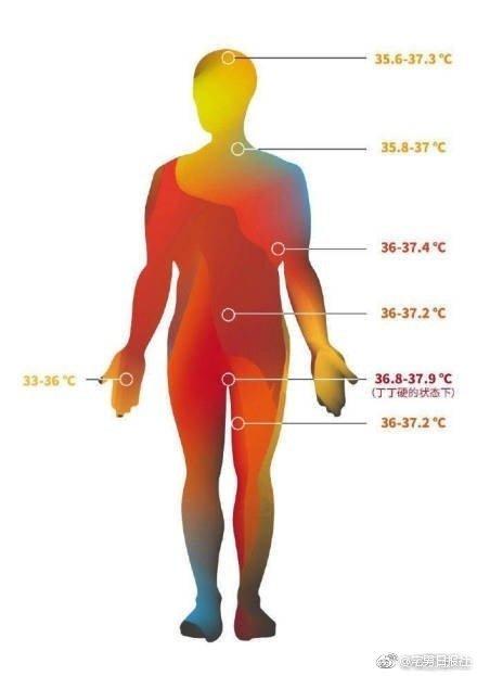 姑娘们，现在知道冬天该把手放在哪里取暖了吧。