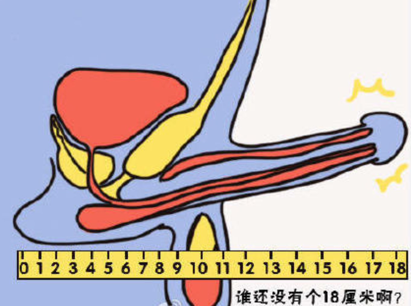 谁还没有18厘米啊