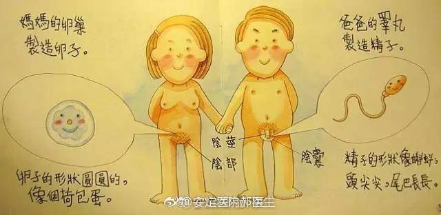 《小学生性健康教育读本》尺度太大引吐槽