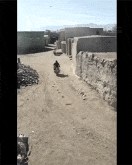 1362585240a99a4023586c4343af6228.gif