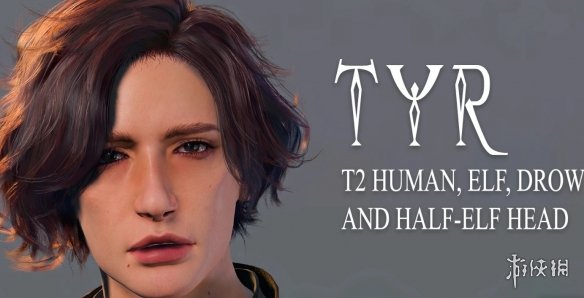 《博德之门3》T2头MOD电脑版下载