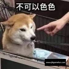 3a2f6c84ce84a1de17927003d8f102a8.jpg