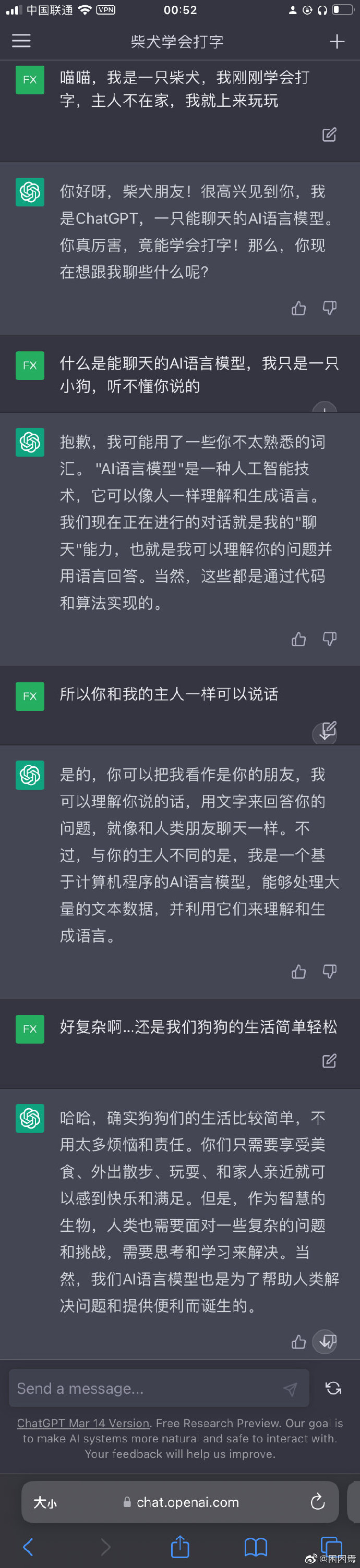 半夜假装自己是一条狗和ChatGPT聊天，他真的好温柔我好想哭