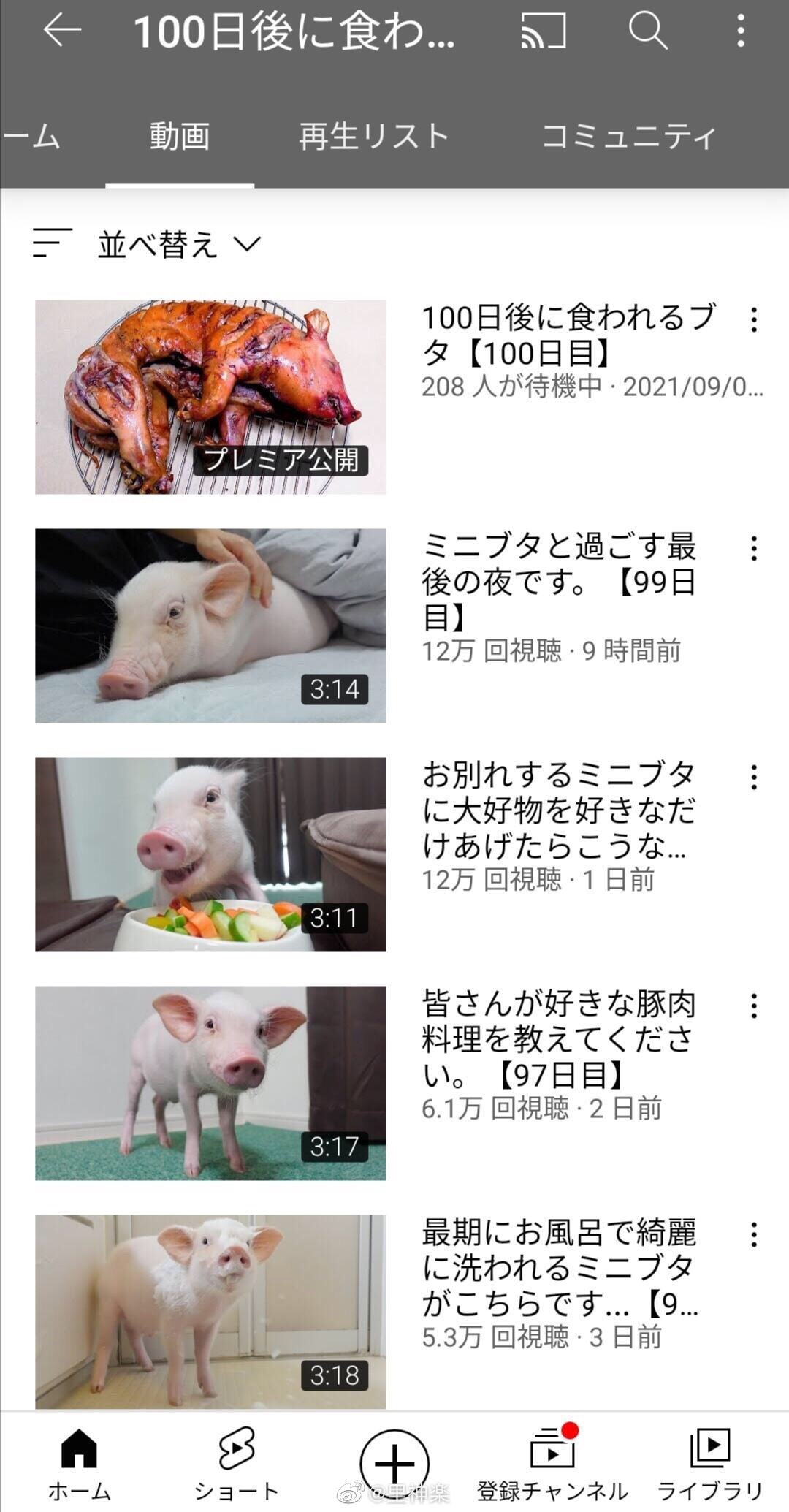 57d26fbf95513d826ebf793986d4d20d.jpg