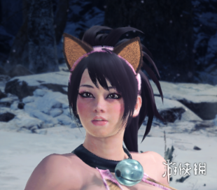 《怪物猎人世界：冰原》性感丰腴猫咪装御姐MOD电脑版下载