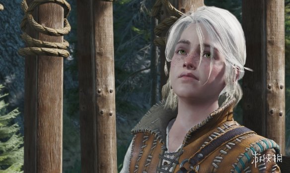 《巫师3次世代版》Ciri 面部改善MOD电脑版下载