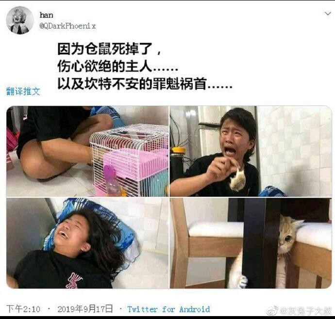 哈哈哈哈哈哈哈哈哈哈哈哈哈哈哈真正的暗中观察