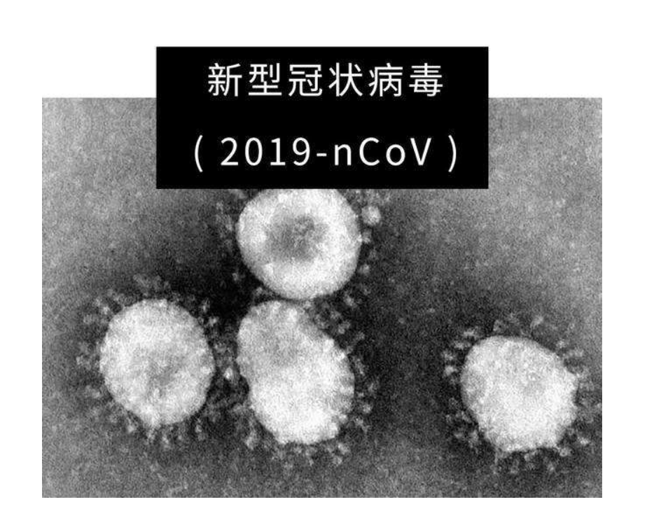 新型冠状病毒来了，你还不了解他吗？