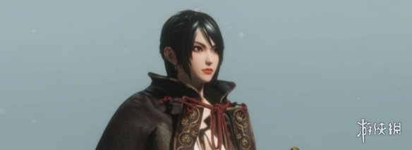 《只狼：影逝二度》三国无双星彩披风完美形态替换狼外观MOD电脑版下载