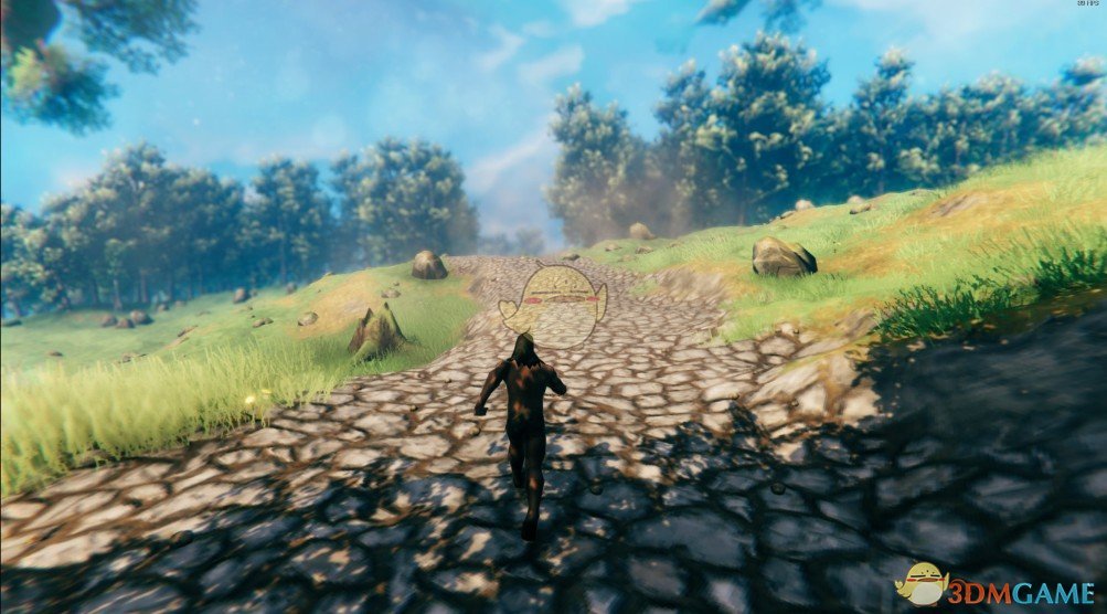 《Valheim：英灵神殿》地形影响体力消耗MOD电脑版下载