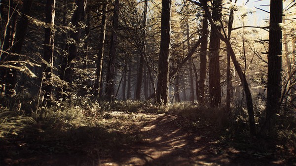 ss_7bc7af6ccf562c72e34f7d740be98dbe62b6869e.600x338.jpg